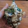 1950s Vintage Japanese Majolica Conch Shell Teapot Image 7