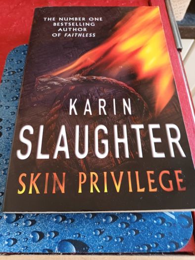 4 books by Karin Slaughter