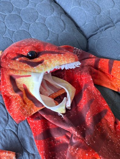 dinosaur costume