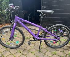 Ridgeback Dimension 20