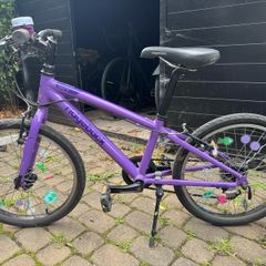 Ridgeback Dimension 20