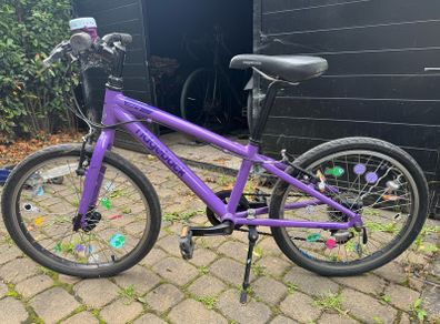 Ridgeback Dimension 20