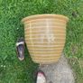 ceramic pot Image 3