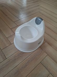 Toddler Potty