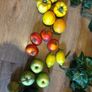 Quality Display Ivy, fruit & vegetables, kitchen decor or wedding  ivy floral  decor Image 5