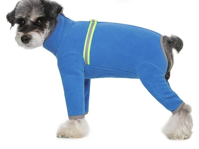 Bear Small Dogs Winter Clothes,Dog Winter Warm Coat Soft Fleece with Reflective Zip Dog Onesie Jumpsuit, Puppy Pet Pajamas Costume Apparel (Blue, L)