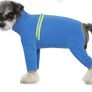 Bear Small Dogs Winter Clothes,Dog Winter Warm Coat Soft Fleece with Reflective Zip Dog Onesie Jumpsuit, Puppy Pet Pajamas Costume Apparel (Blue, L) Image 2