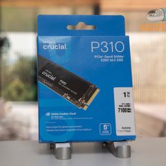 Crucial 1TB SSD (New)