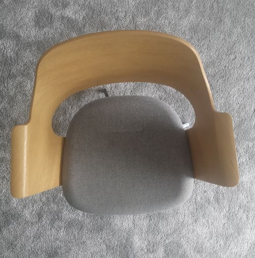 Study Desk Chair / Occasional Chair