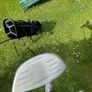 kids golf set Image 9