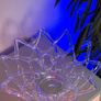 Glass Web bowl Image 2