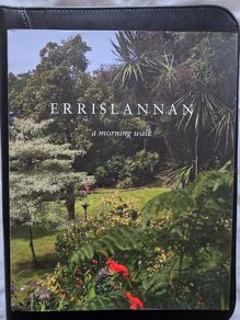 Rich Gilligan Errislannan A Morning Walk
