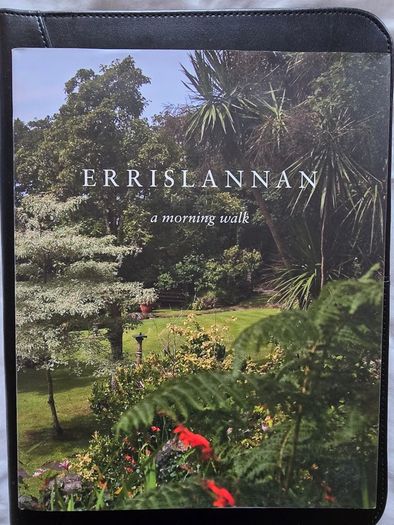 Rich Gilligan Errislannan A Morning Walk