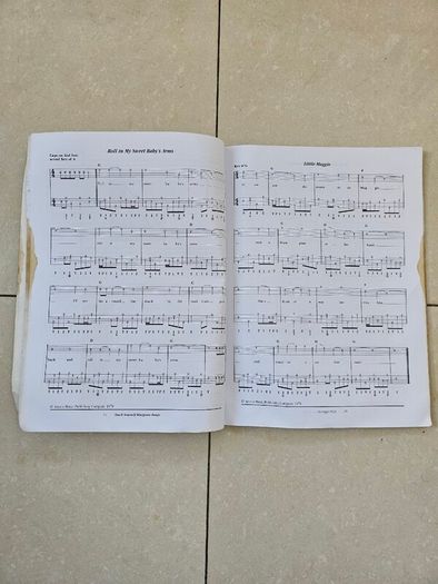 Teach yourself Bluegrass banjo book and CD