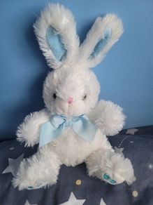 Bunny Rabbit Plush Soft Toy Plush Teddy Bear