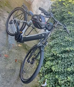 Hybrid bike