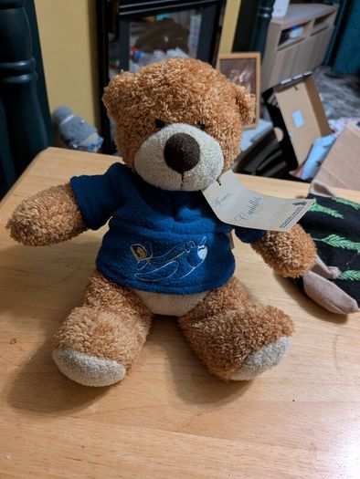airline bears eur 10 each