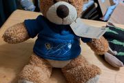 Singapore airlines bear
