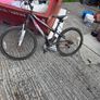 Bikes For Free Must Go Today Image 2