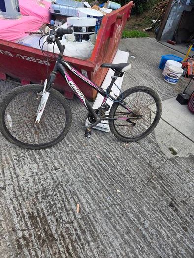 Bikes For Free Must Go Today