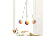 Cat Toy