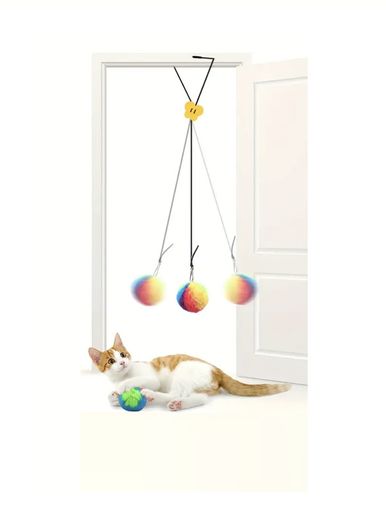Cat Toy