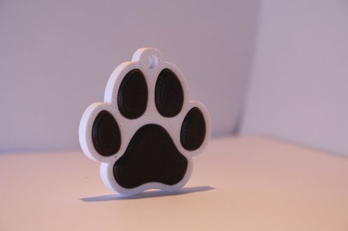 Personalised 3D Printed NFC Smart Pet Tag / Keychain