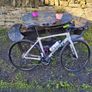 Giant Road Bike TCR ultegra Image 5