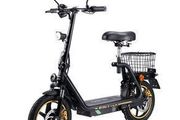 Twofish M5 Elite Electric Scooter With Eec