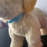 Toys dog Image 7