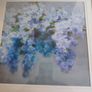 Nai, Danhui 38 x 34 cm. white Wood Framed Museum Art Print Titled - Wisteria Image 6