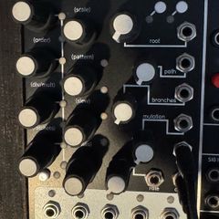 Qu-bit Bloom Eurorack Sequencer