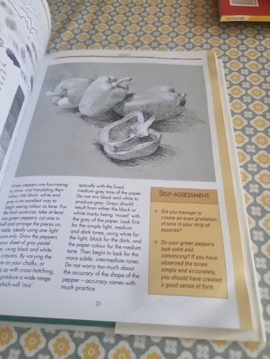 Collins Pastels Workshop: A Practical Course in Pastel Painting to Develop... (Hardcover)