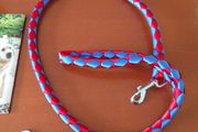 Small dog leash