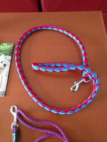 Small dog leash