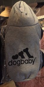 Dog Hoody
