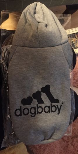 Dog Hoody