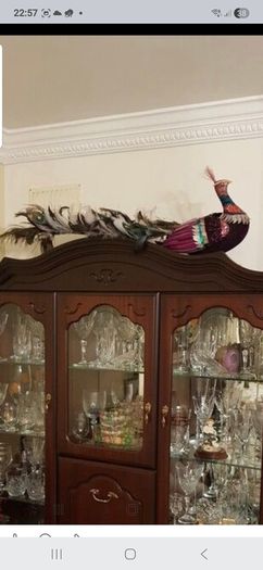 china Tea & Dinner