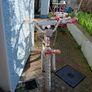 girls bicycle 16 inch Image 2