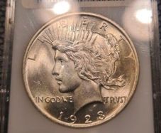 Peace Dollar 1923 MS65