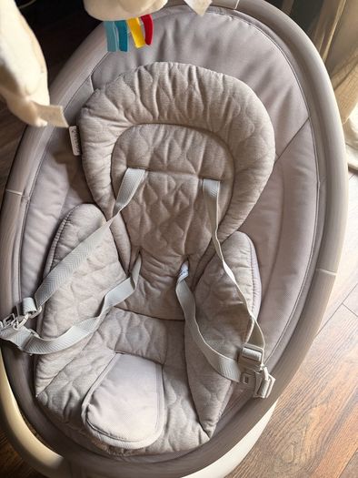Nested Willow Baby Swing