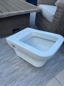 Wall hung toilet