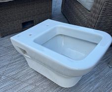 Wall hung toilet