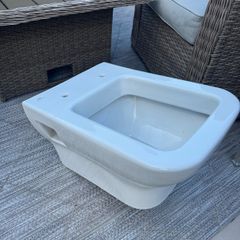 Wall hung toilet