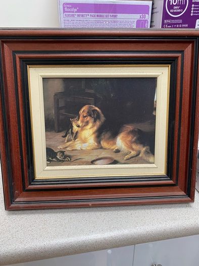 framed prints