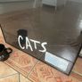 Vintage Cats The Musical 1990 Framed Poster, The Point Dublin Entrance Ticket and Mug Image 7