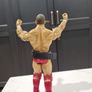 Wwe William Regal Figure With European Title Belt Image 3