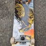 skateboard Image 4