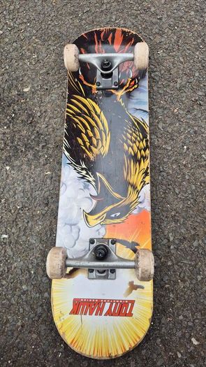 skateboard