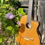 Rare Cordoba Fusion 12 Orchestra CE  Luthier (Derrick Nelson) Image 3